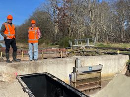 Vissen krijgen ruim baan door waterdoorgangen rondom Zuidwolde