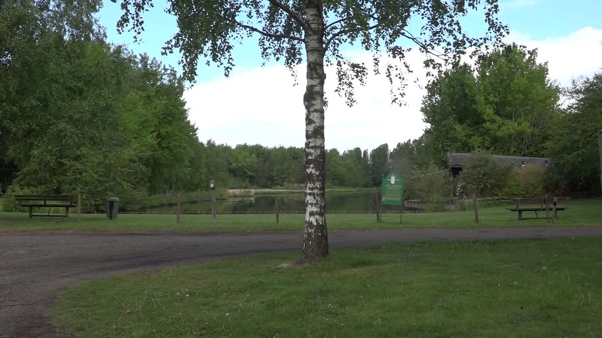 Alles waterpas voor WK sjoelen in Zwartemeer: 'Tijdens de try-out gingen de tafels schuiven'