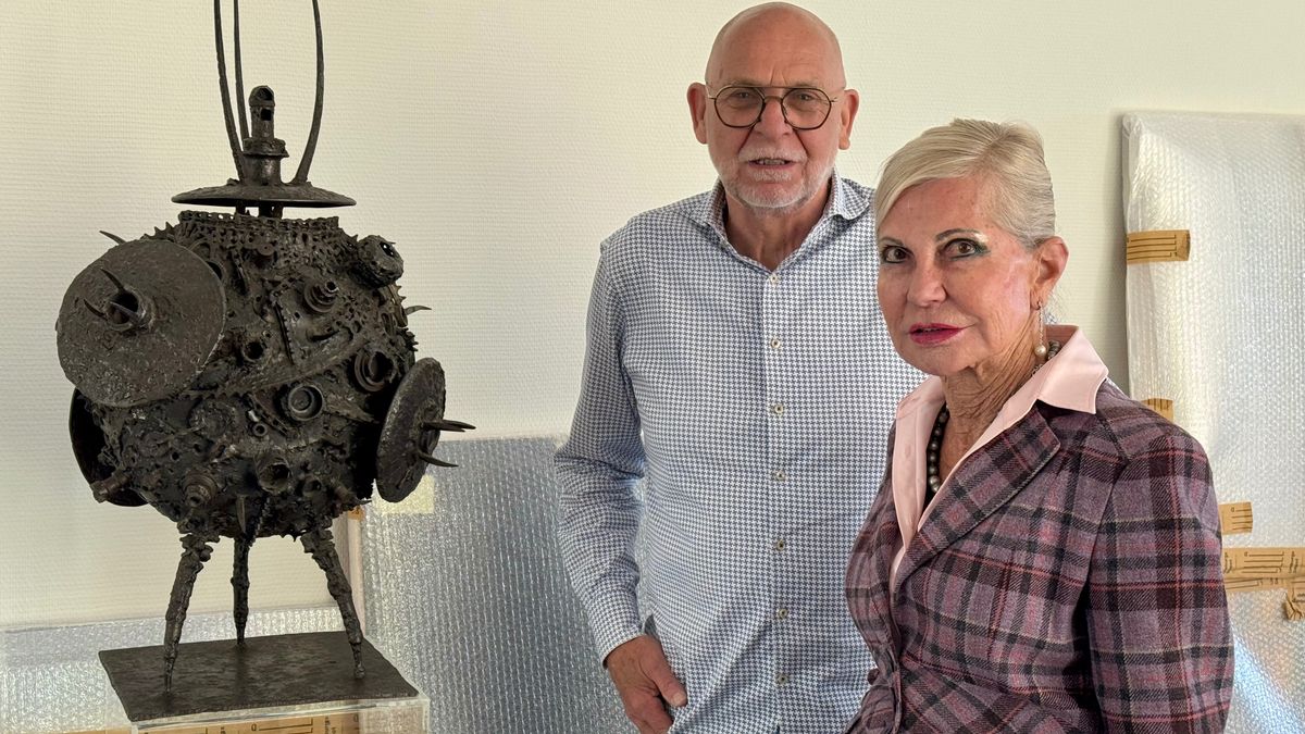 Collectie Defauwes in Museum Valkenburg: 'Wij gingen niet op vakantie maar kochten kunst'