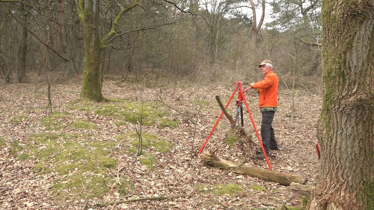Werkgroep Siepelveen heeft een eigen wapen tegen de Amerikaanse vogelkers