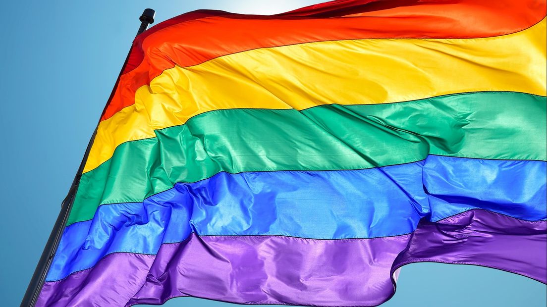 D66 wil dat er wat aan de homohaat wordt gedaan