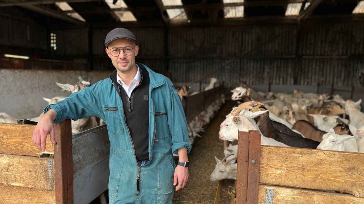 Geitenhouder Martin uit Tiendeveen smacht naar duidelijkheid na nieuw rapport over longontstekingen