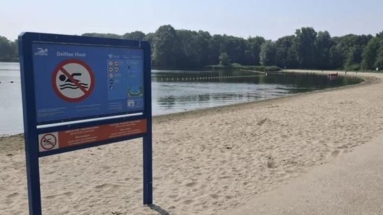Na blauwalg nu ook poepbacterie in populaire plas: zwemmen afgeraden Home