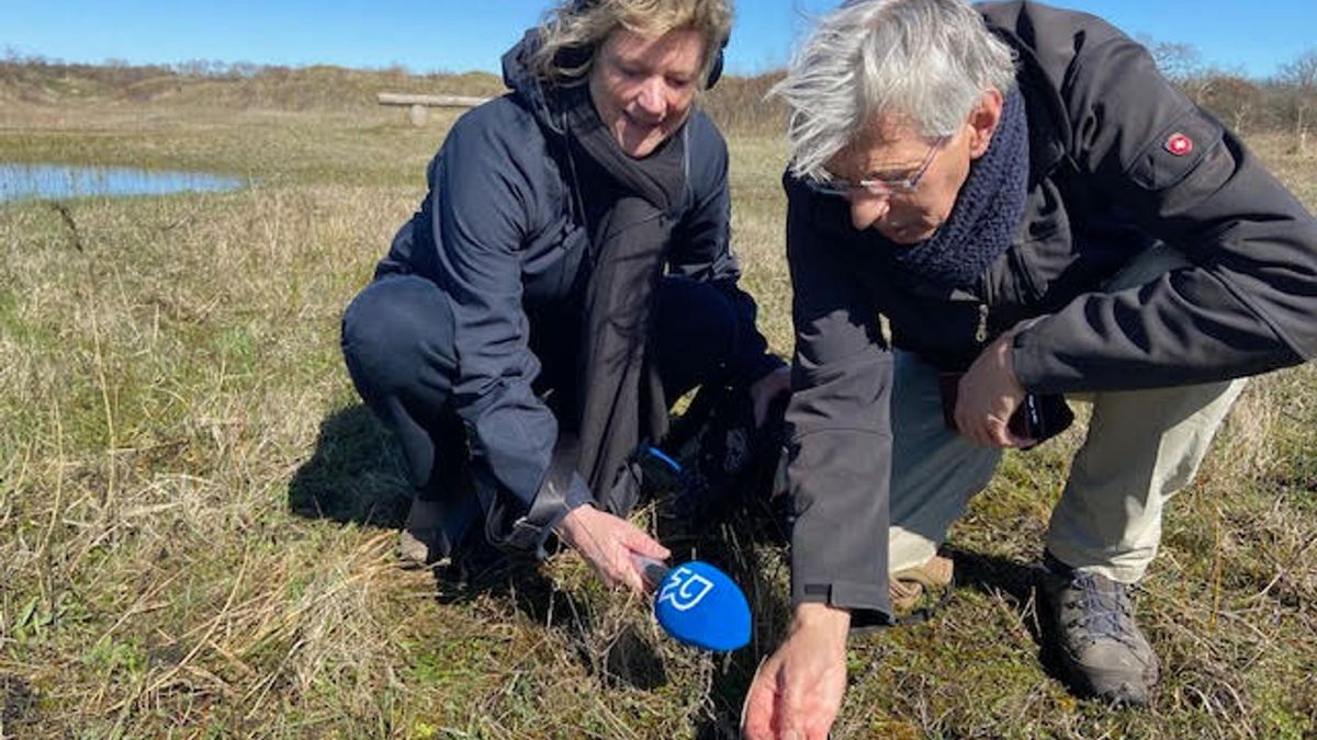 Scheurgras in Chris Natuurlijk van 8 april? - Rijnmond