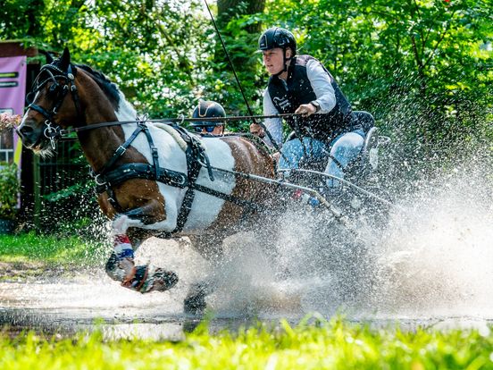 In Beeld: paarden vliegen over parcours bij menwedstrijd Zuidwolde