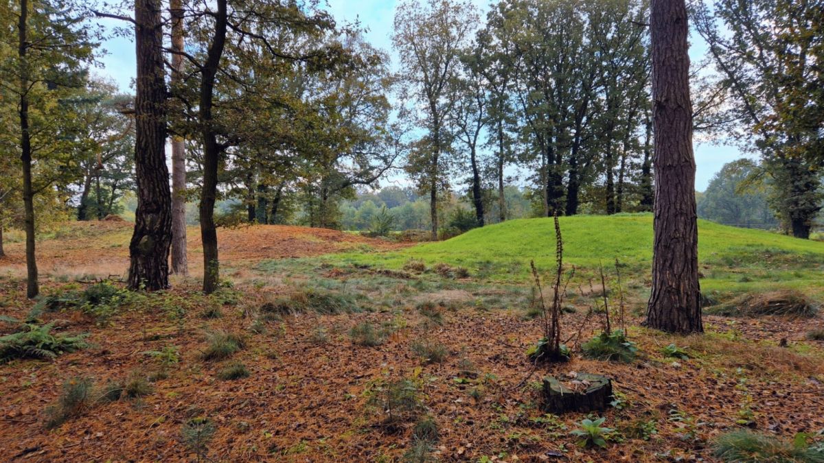 Natuurbegraafplaats wil overledenen te ruste leggen in prehistorische grafheuvel