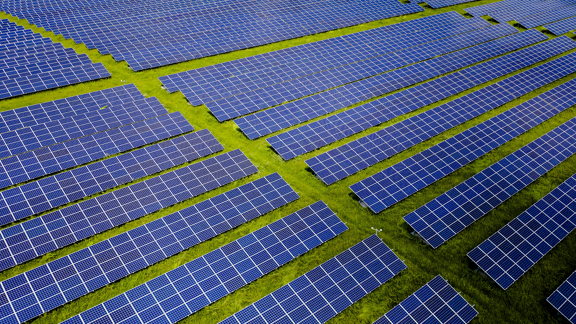 Panelen in een groot zonneveld.