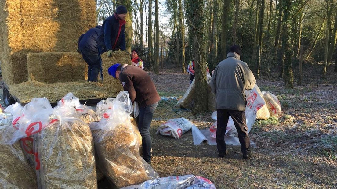 Vrijwilligers leggen zakken stro langs de baan