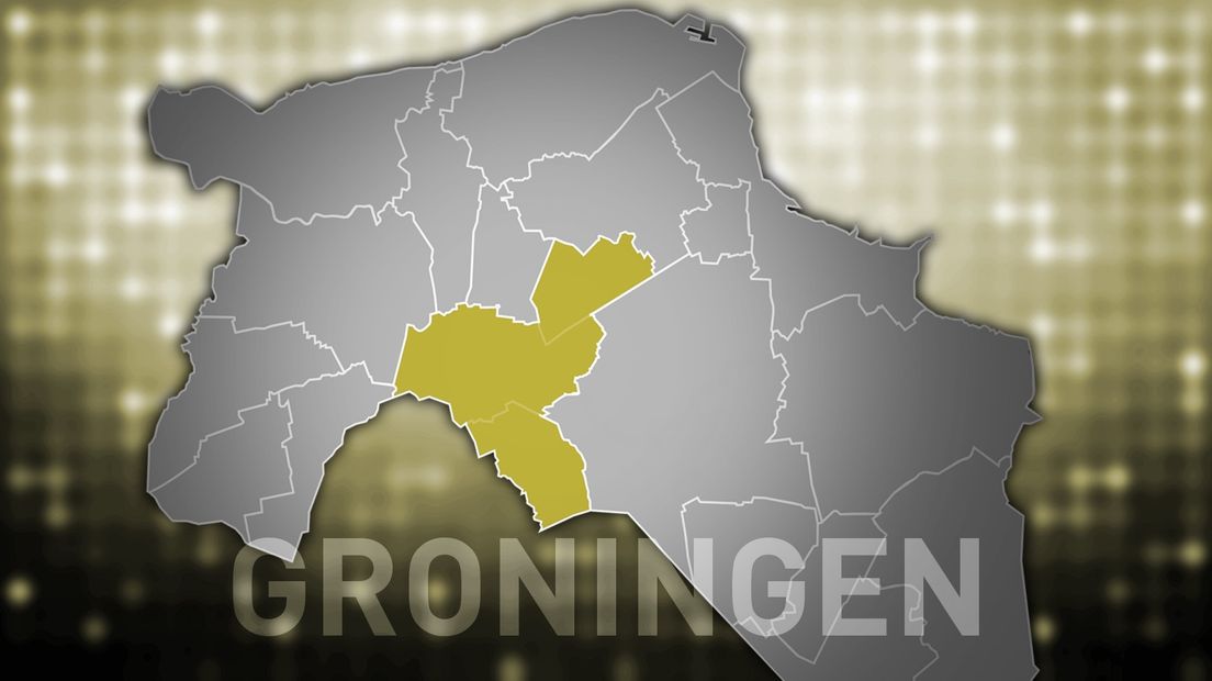 Wat is een goede naam voor inwoners van de gemeente Groningen? Het publiek zegt: Stadlanders.