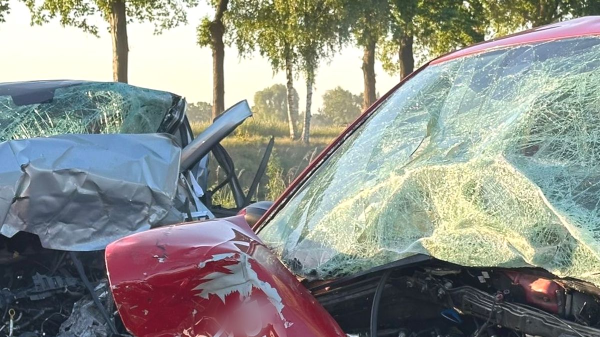 Twee doden bij frontale aanrijding in Nederweert