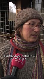 Schaapskooi wolfproof