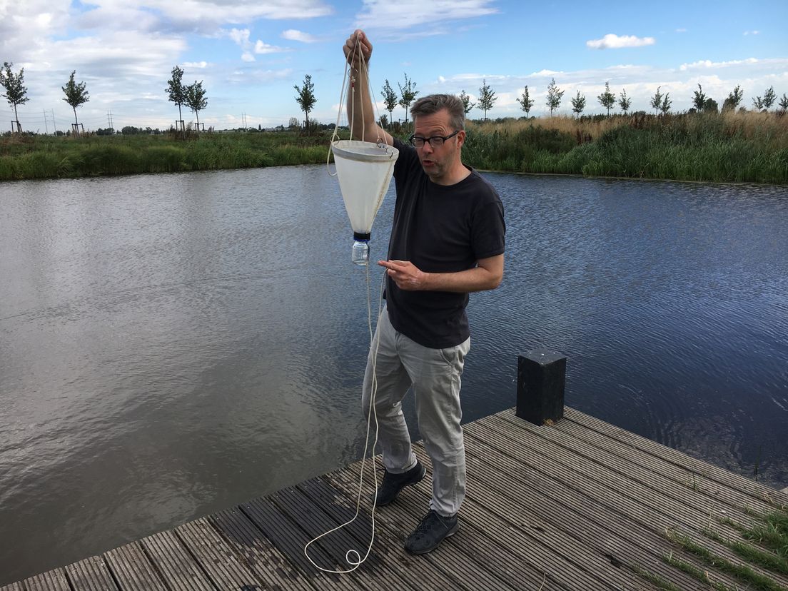 Microfotograaf Wim van Egmond 'op jacht' naar microben in het water bij De Groenzoom