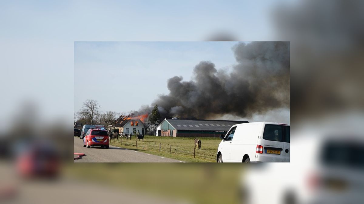 Brand legt woonboerderij in as in Tjerkgaast