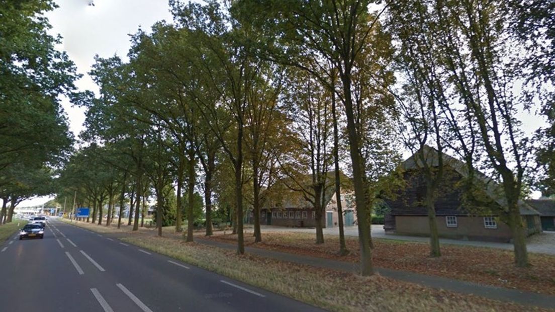 De Kievitsmeent