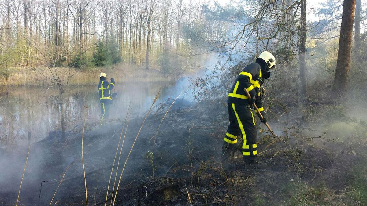 Brandweer Kuinre rukt uit voor brand in Burchtbos op de grens van Overijssel en Flevoland