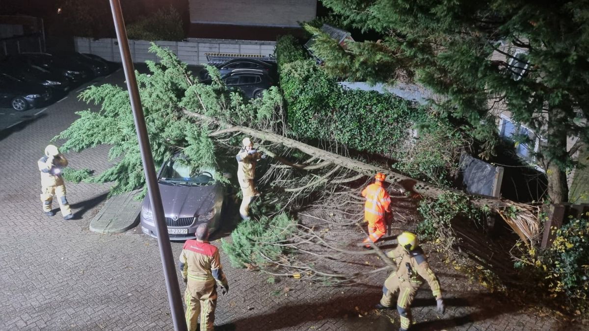 Stormschade: boom waait op auto, steiger dreigt om te vallen, overkapping verwijderd