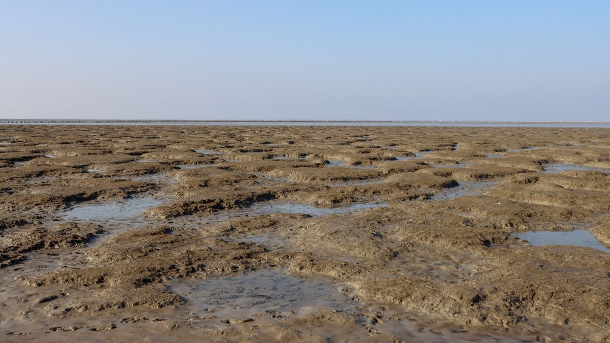 Provincie wil gaswinning bij Ternaard tegenhouden met speciale stichting