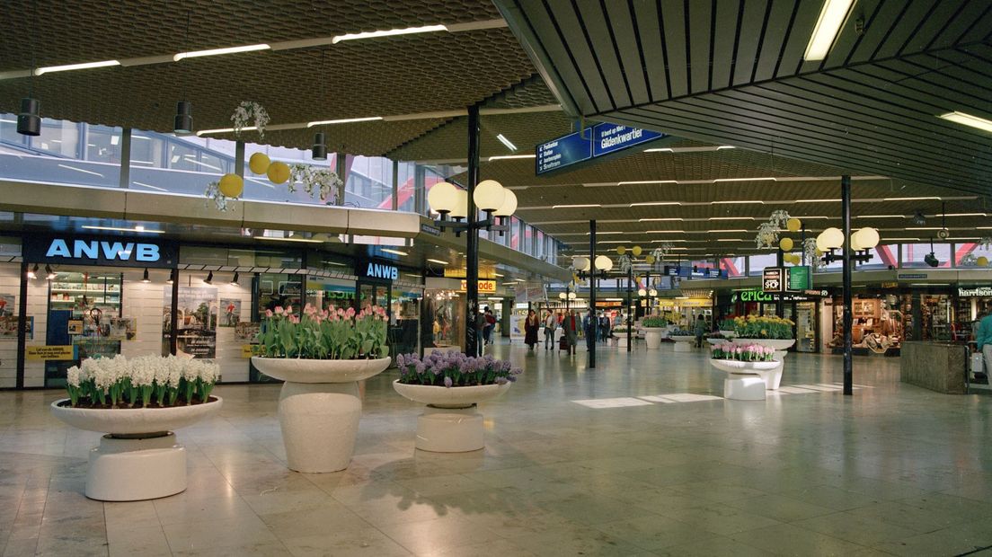 Plantenbanken in het Gildenkwartier.