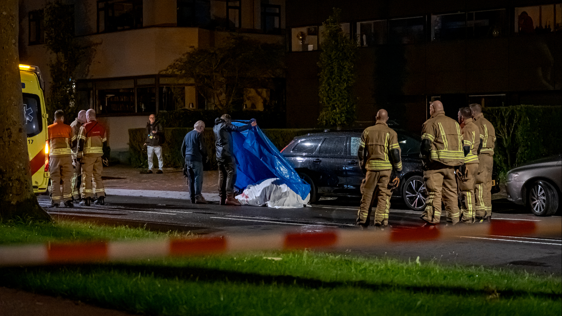 Het dier kwam in botsing met een auto en overleed ter plekke.