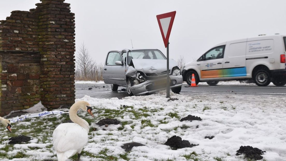Twee overstekende zwanen zorgen voor kop-staart botsing