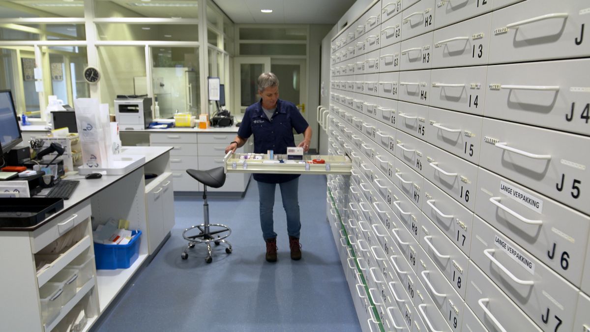 'Jonge collega's kunnen niet op zichzelf wonen', apothekersassistenten staken voor beter loon
