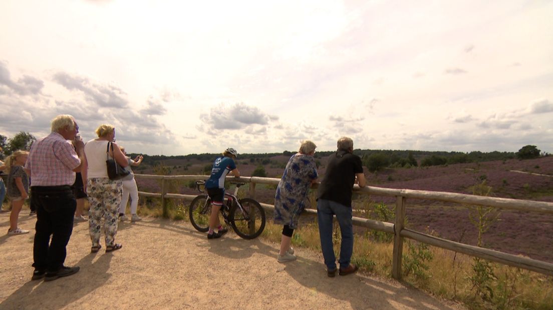 Er is 25 miljoen euro beschikbaar voor de Veluwe.