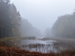 In Beeld: mysterieuze ochtendmist over Drenthe