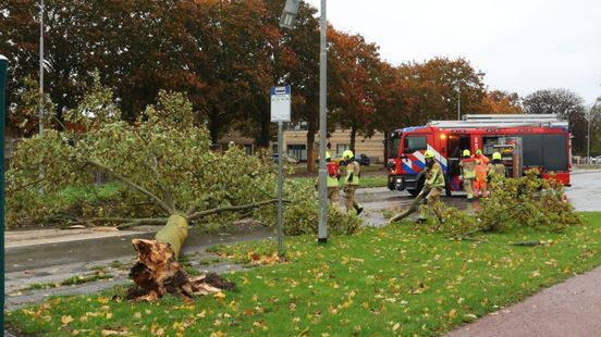 Boom valt door storm om op nogal bijzondere locatie