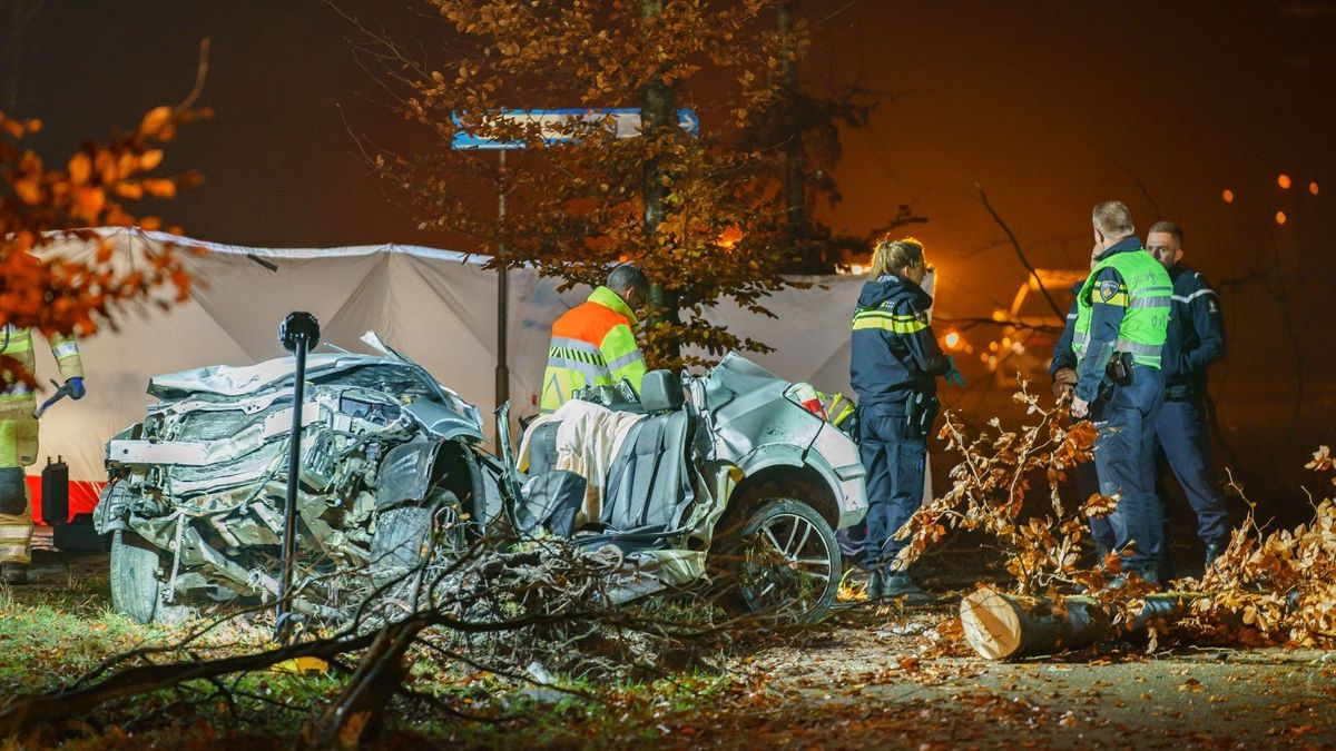 Brandweer knipt automobilist uit wagen na ongeluk bij Den Dolder