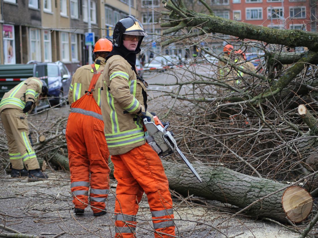 Omgevallen boom op de Wevershoekstraat