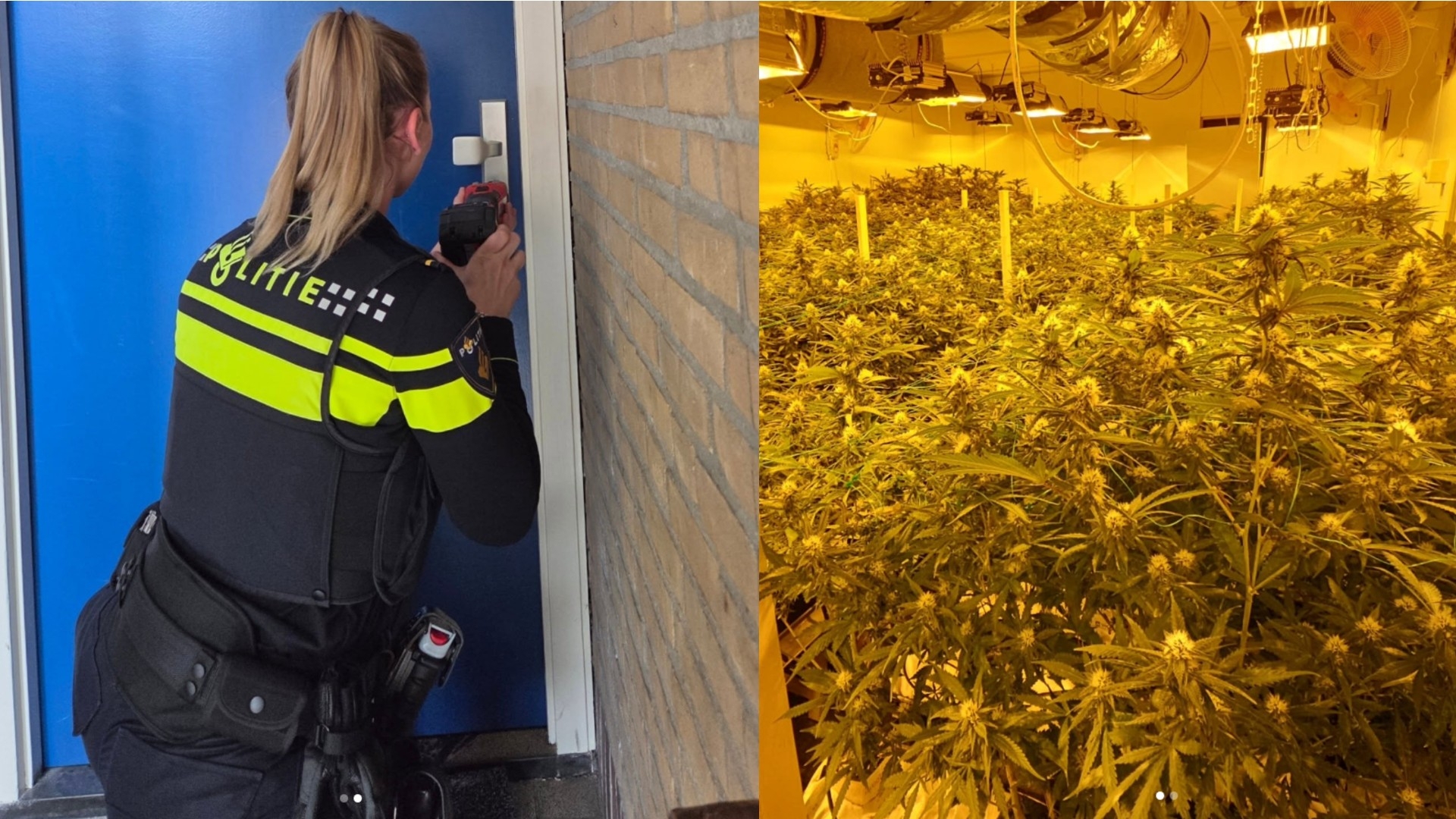 112-nieuws: Politie rolt hennepkwekerij in Vinkhuizen op