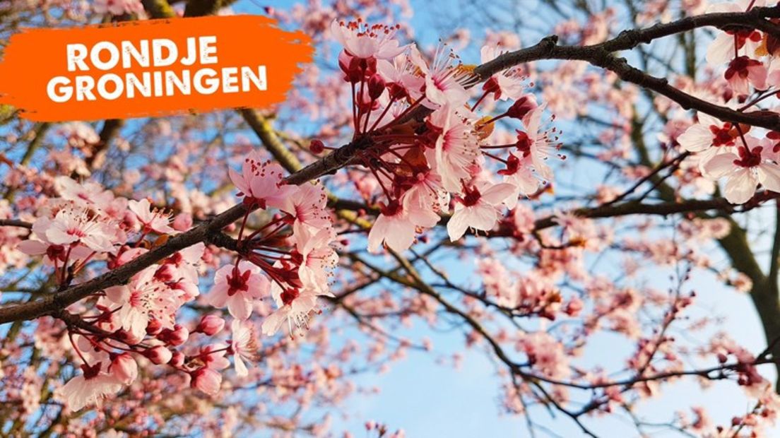 Rondje Groningen en het voorjaarsgevoel