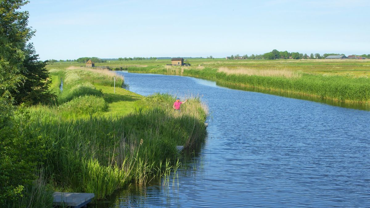 Raad van State besluit: fietspad tussen Dokkum en Oostmarhorn mag er komen