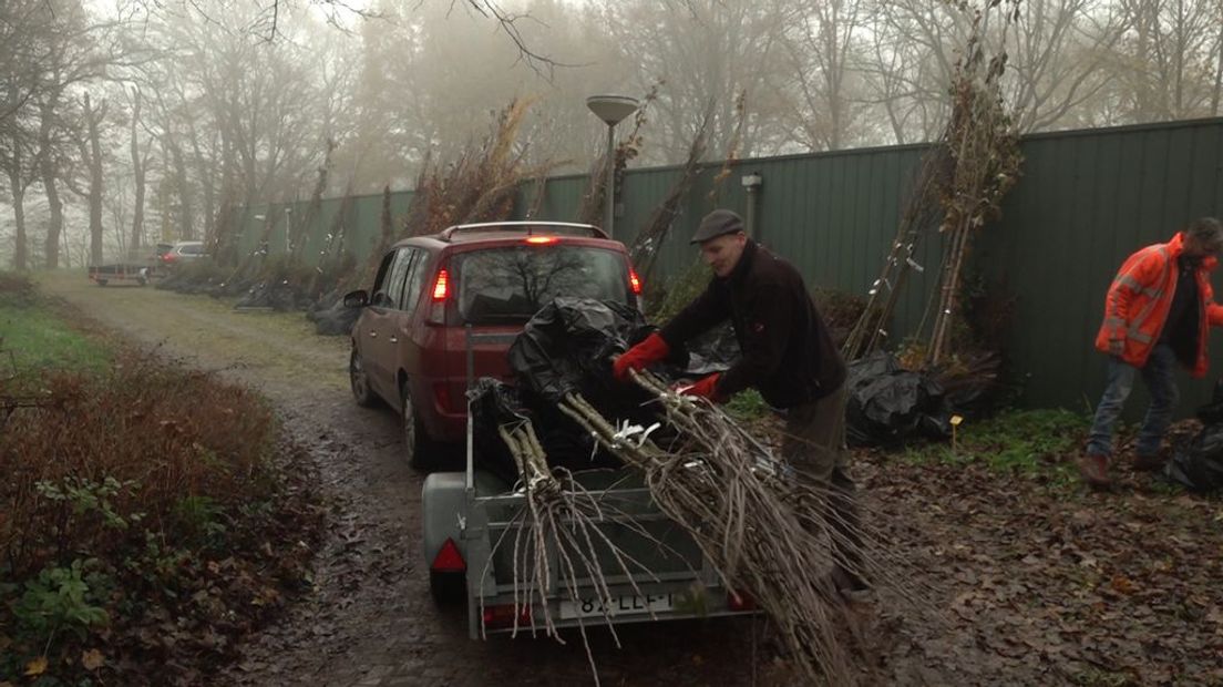 Eward Timmerman laadt een stapel bomen op een aanhanger.