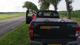 Probleem eikenprocessierups verergert
