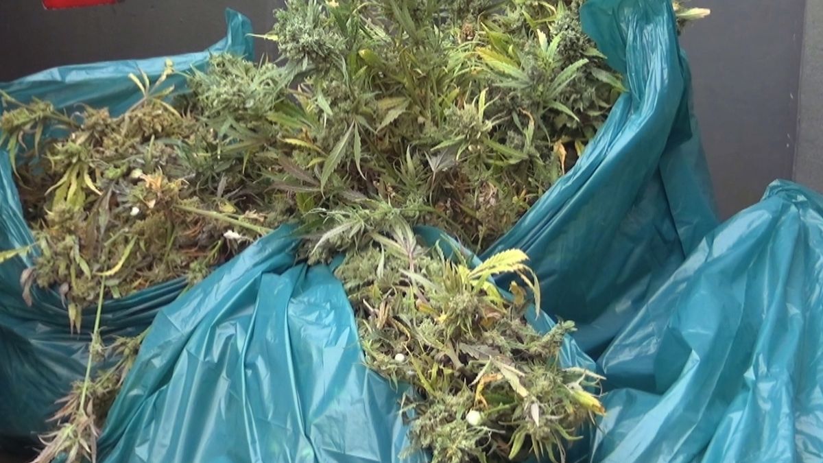 Drugspanden in Absdale en Vogelwaarde drie maanden dicht
