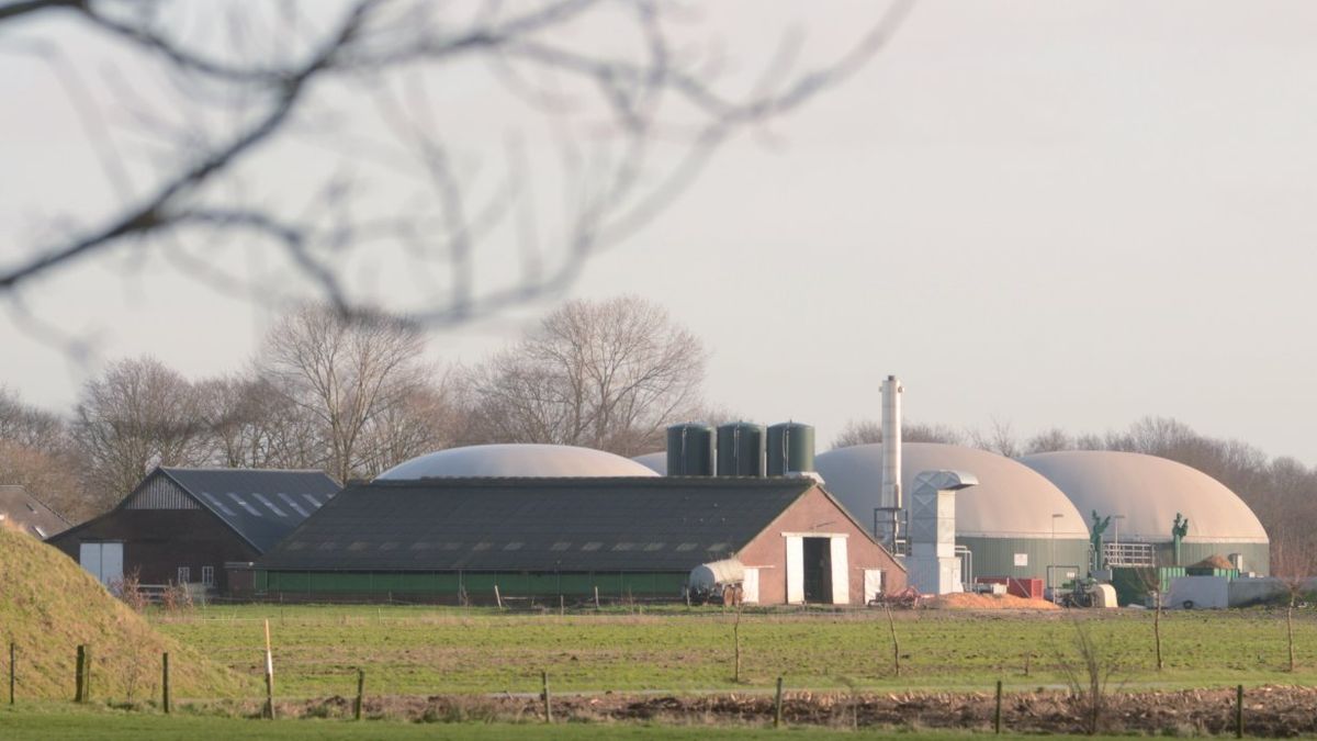 D66 wil medewerking van de provincie in onderzoek biovergister - RTV