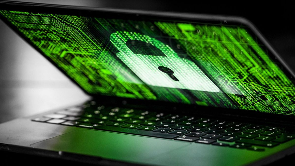 Man (35) uit Oudeschoot krijgt celstraf voor handel in gegevens 250 miljoen mensen