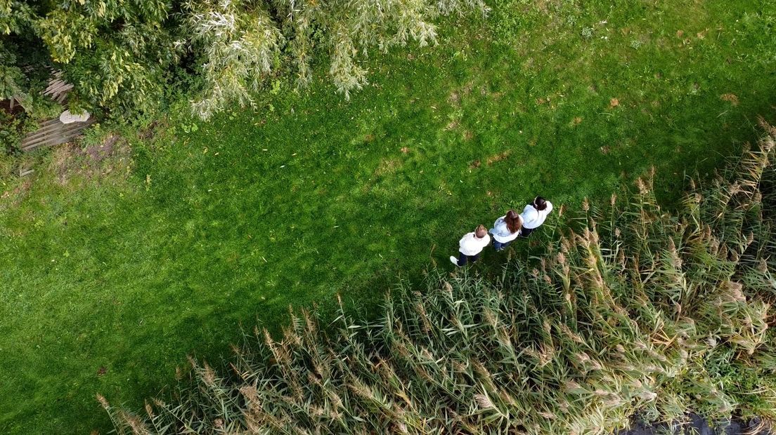 Het stuk grond langs de Oude Rijn waar microwoningen zouden kunnen komen