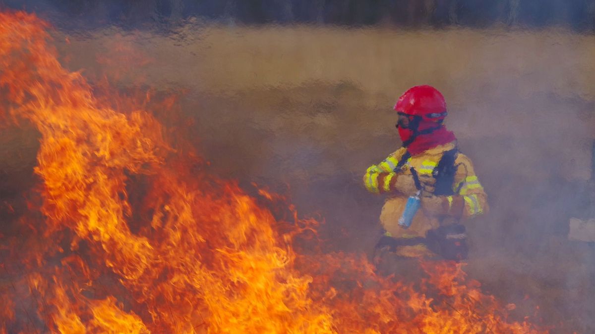 Duurswouderheide in brand: natuurexperiment en oefening bij Wijnjewoude