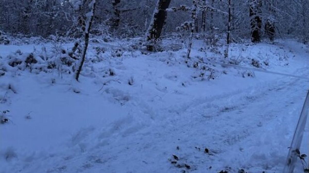 Politie waarschuwt voor 'boobytraps' in bos van Beetsterzwaag