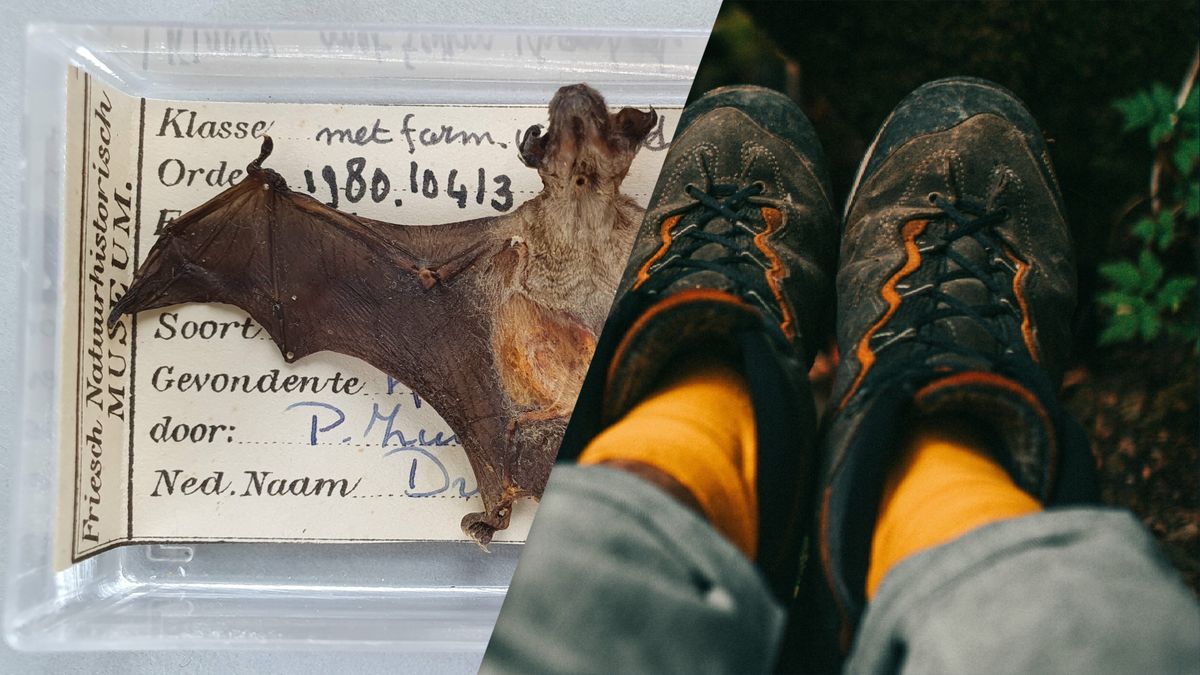 Eropuit dit weekend? Dit is er te doen in Fryslân