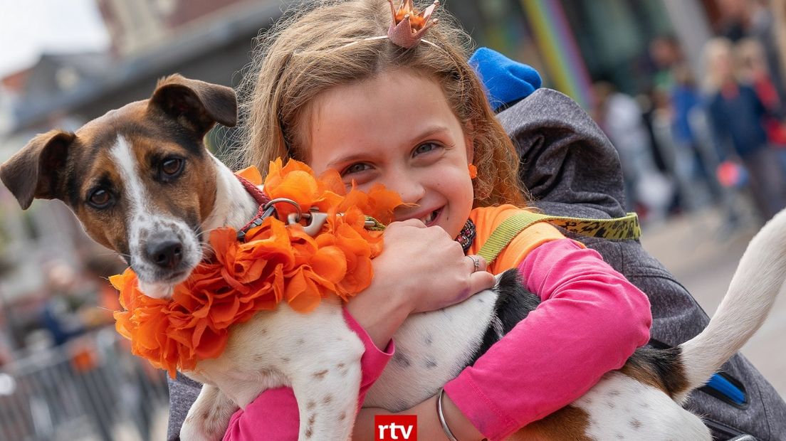 Ook de hond viert Koningsdag (Rechten: RTV Drenthe/Kim Stellingwerf)