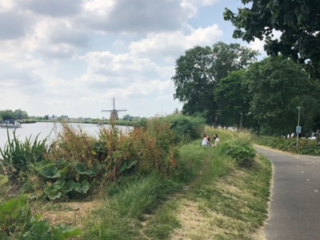 Langs de Rotte