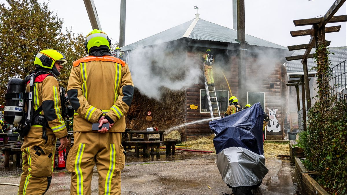 Receptie en streekwinkel verwoest bij boerderijbrand: 'Wij zijn zeer aangedaan'
