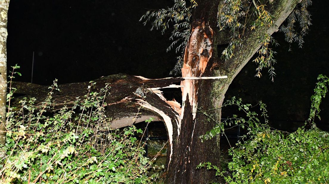 Een afgeknakte boom zorgde voor overlast in Vroomshoop