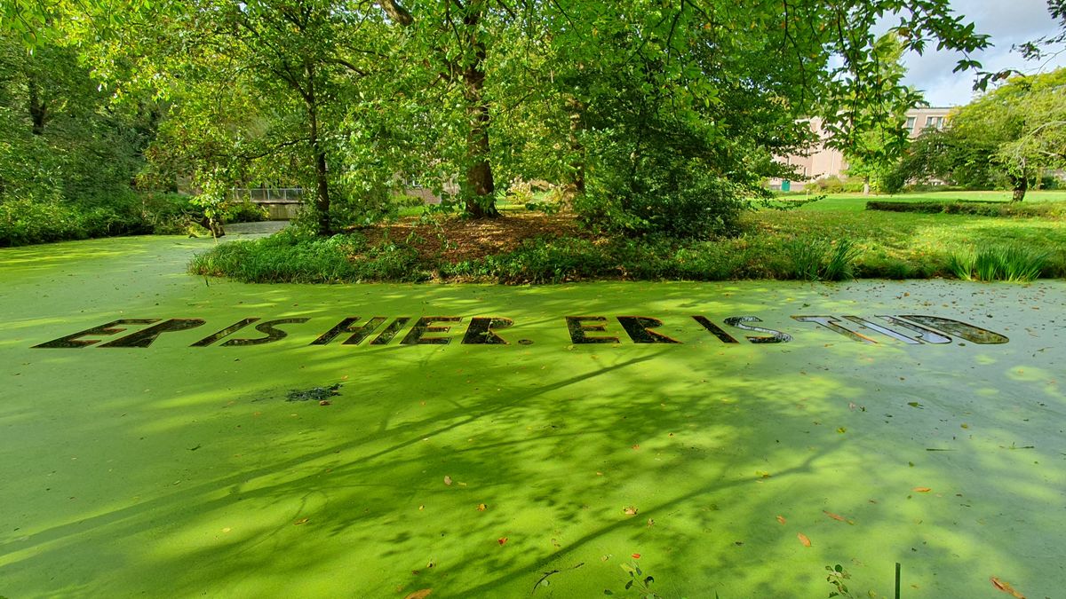 Natuur en Zo Radio: egels, vlinders, Landart Manifestatie Haelen