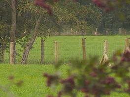 Boerekollektyf krijt 140.000 euro om winsken fan boeren te keppeljen oan natuer