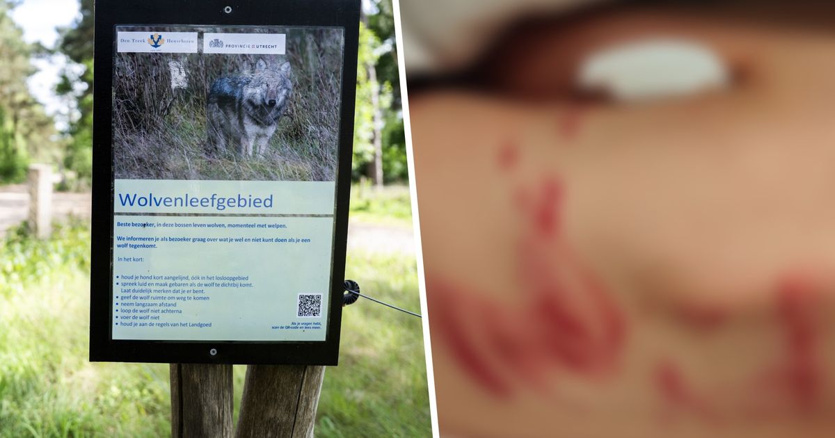 www.rtvutrecht.nl