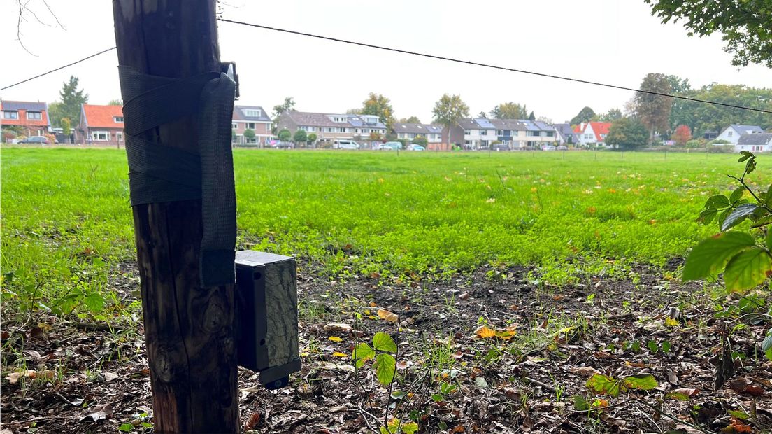 Wildcamera bij het weiland aan de Insingerstraat.